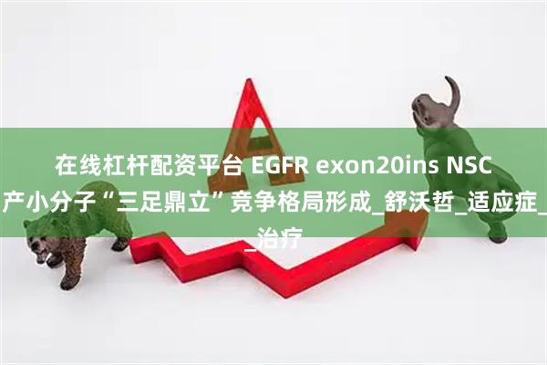 在线杠杆配资平台 EGFR exon20ins NSCLC国产小分子“三足鼎立”竞争格局形成_舒沃哲_适应症_治疗