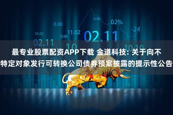 最专业股票配资APP下载 金道科技: 关于向不特定对象发行可转换公司债券预案披露的提示性公告