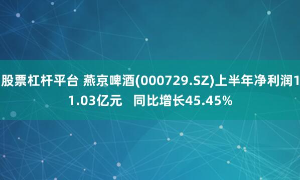 股票杠杆平台 燕京啤酒(000729.SZ)上半年净利润11.03亿元   同比增长45.45%